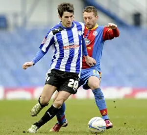 SWFC vs Crystal Palace February 23rd 2013 Collection: owls v place 24