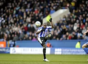 SWFC vs Crystal Palace February 23rd 2013 Collection: owls v place 26