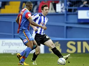 SWFC vs Crystal Palace February 23rd 2013 Collection: owls v place 29