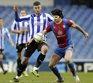 SWFC vs Crystal Palace February 23rd 2013 Collection: owls v place 37