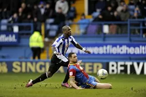 SWFC vs Crystal Palace February 23rd 2013 Collection: owls v place 39
