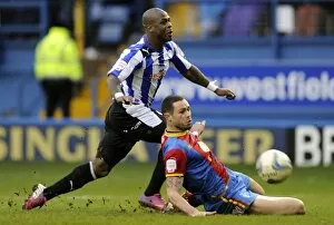 SWFC vs Crystal Palace February 23rd 2013 Collection: owls v place 39a