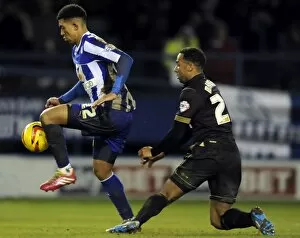 Sheffield Wednesday vs Wigan February 11th 2014 Collection: owls v wigan 45