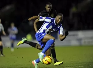 Sheffield Wednesday vs Wigan February 11th 2014 Collection: owls v wigan 5