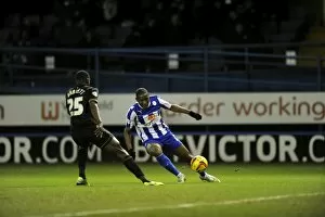 Sheffield Wednesday vs Wigan February 11th 2014 Collection: owls v wigan 8