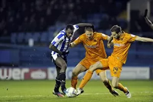 Images Dated 19th January 2013: owls v wolves 31