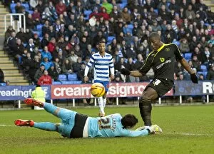 Reading vs Sheffield Wednesday February 8th 2014 Collection: reading v owls 67