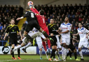<b class=qtipBold><figcaption>rochdale v owls 51</figcaption></b><br> rochdale v owls 51