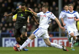 rochdale v owls 8