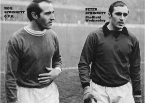 Ron Springett and Peter Springett