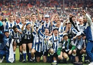 Images Dated 11th March 2013: Sheffield Wednesday 1991 League Cup Winners