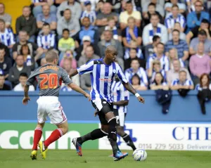 Sheffield Wednesday v Bolton... Anthony Gardner