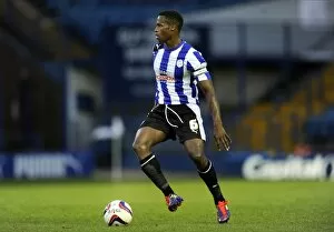 Images Dated 28th August 2012: Sheffield Wednesday v Fulham 21