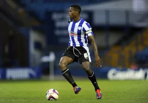 Sheffield Wednesday v Fulham 21