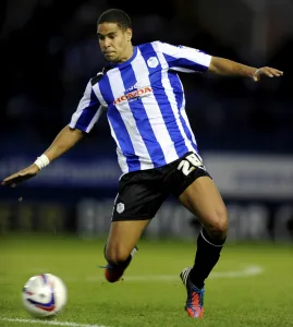 Sheffield Wednesday v Fulham 29