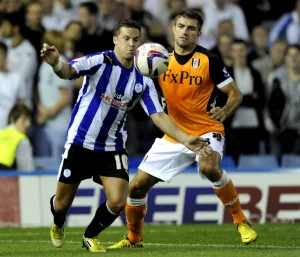 Sheffield Wednesday v Fulham 31