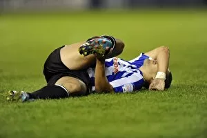 Images Dated 28th August 2012: Sheffield Wednesday v Fulham 53