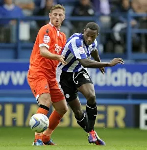 Images Dated 25th August 2012: Sheffield Wednesday v Millwall 43