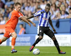 Sheffield Wednesday v Millwall 57