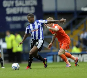 Sheffield Wednesday v Millwall 33