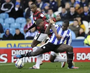 Images Dated 3rd November 2012: Sheffield Wednesday v Peterborough... Michail Antonio