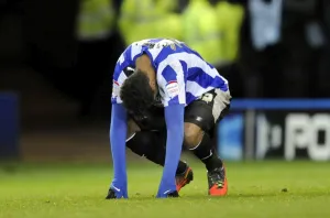 2012-13 Season Poster Print Collection: SWFC Vs Watford November 27th 2012