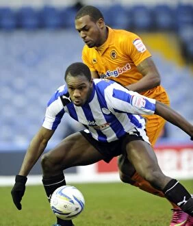 SWFC vs Wolves January 19th 2013 Collection: Sheffield Wednesday v Wolves... Michail Antonio