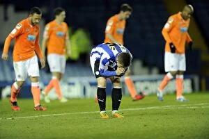 Images Dated 6th November 2012: Sheffield Wednesdsay v Blackpool... Night of frustration for the Owls and Rhys McCabe