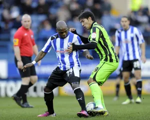 Sport - Sheffield Wednesday v Brighton