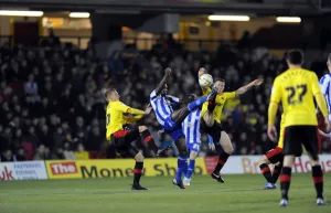 watford v owls 4