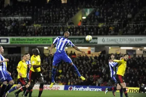 Watford v Sheffield Wednesday... Owls Anthony Gardner